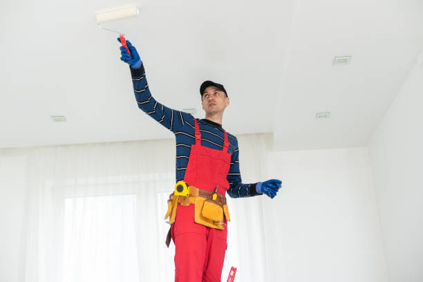 Best Water-Damaged Drywall Repair  in Stacy, MN